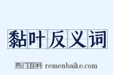 黏叶反义词是什么意思的图片